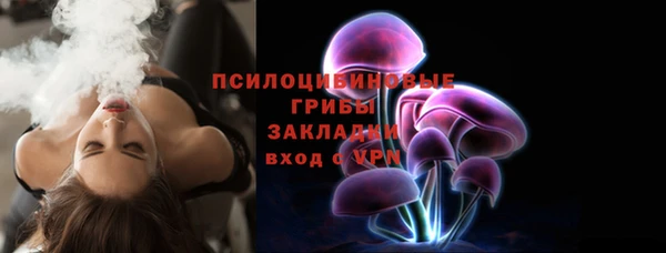 хмурый Костерёво
