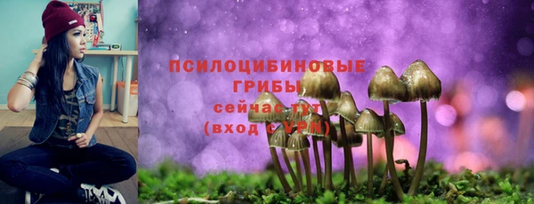 экстази Коряжма